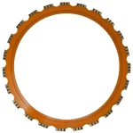 20" x .170" Ring Saw Blade
